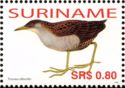 Ash-Throated Crake (Porzana albicollis)